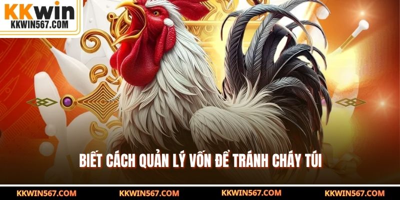 Biết cách quản lý vốn để tránh cháy túi