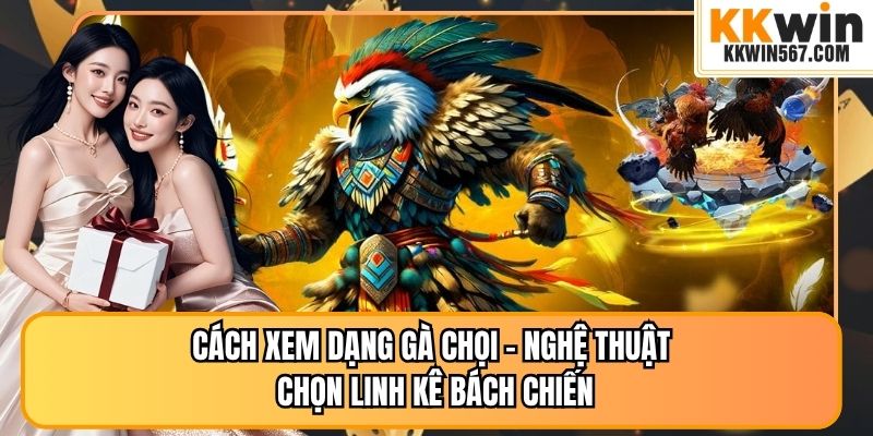 Cách Xem Dạng Gà Chọi – Nghệ Thuật Chọn Linh Kê Bách Chiến