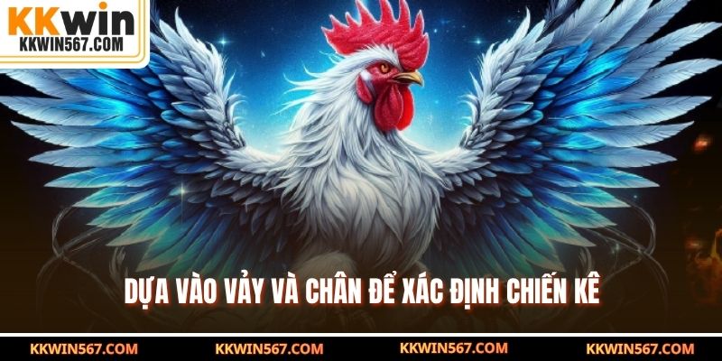 Dựa vào vảy và chân để xác định chiến kê