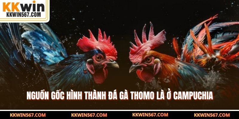 Nguồn gốc hình thành đá gà Thomo là ở Campuchia