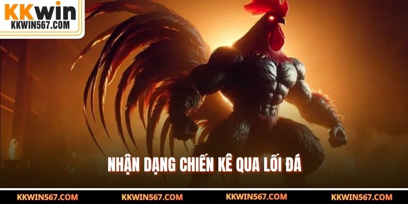 Nhận dạng chiến kê qua lối đá