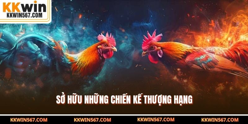 Sở hữu những chiến kế thượng hạng