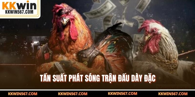 Tần suất phát sóng trận đấu dày đặc